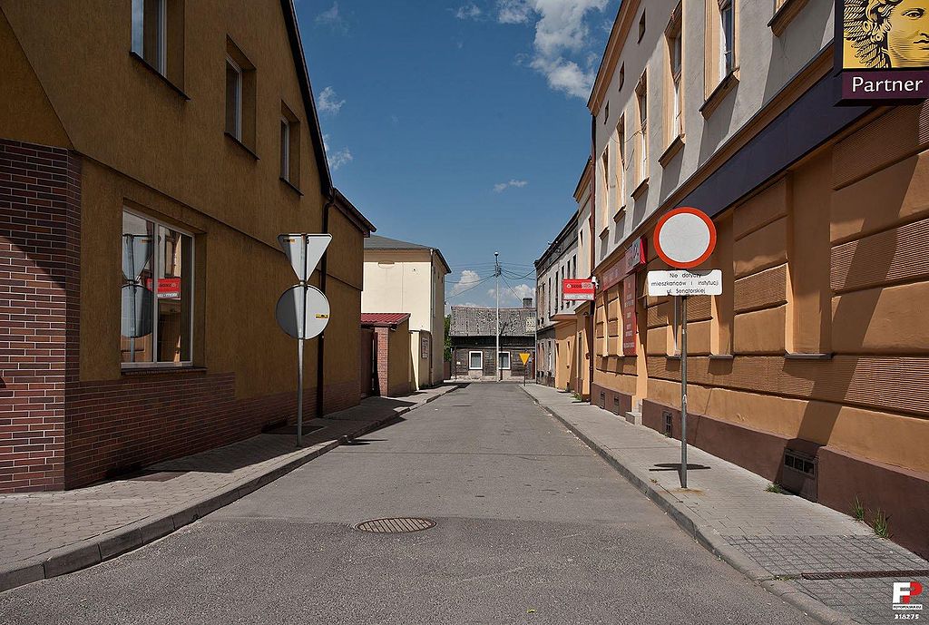 Przewóz busem z Praszki do Holandii