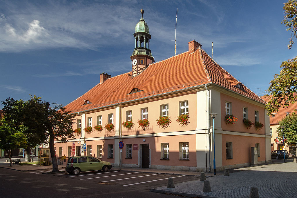 Przewóz busem z Prochowic do Holandii